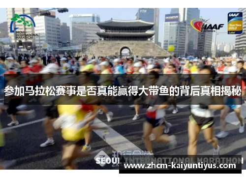 参加马拉松赛事是否真能赢得大带鱼的背后真相揭秘