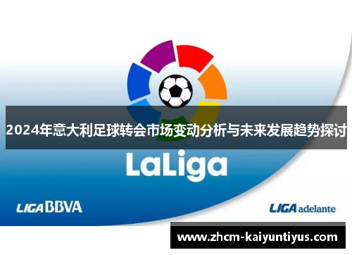 2024年意大利足球转会市场变动分析与未来发展趋势探讨