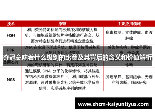 夺冠意味着什么级别的比赛及其背后的含义和价值解析 夺冠意味着什么级别的比赛及其背后的含义和价值解析