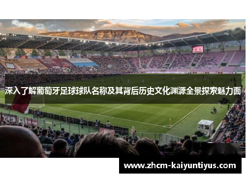 深入了解葡萄牙足球球队名称及其背后历史文化渊源全景探索魅力面