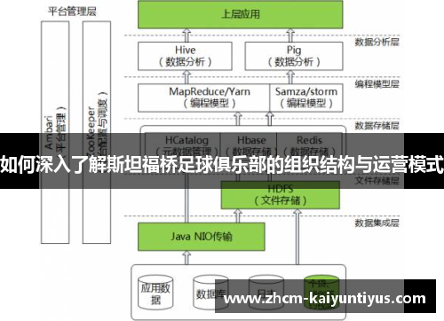 如何深入了解斯坦福桥足球俱乐部的组织结构与运营模式